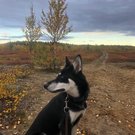 Kaamasmukka 77 アパート