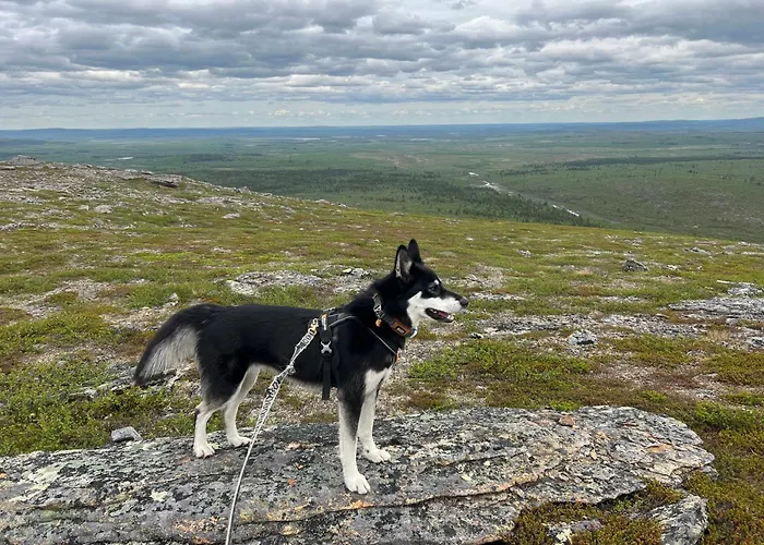 Kaamasmukka 77 * Karigasniemi