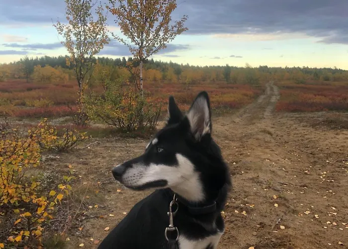 Kaamasmukka 77 Appartement