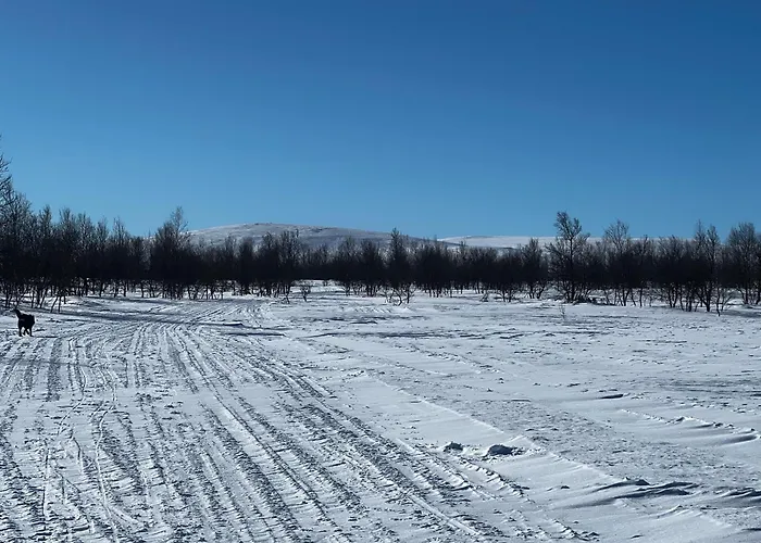 Kaamasmukka 77 Appartement